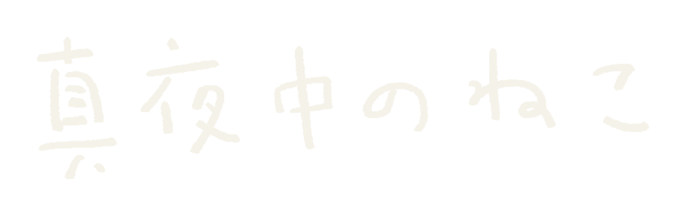 真夜中のねこ